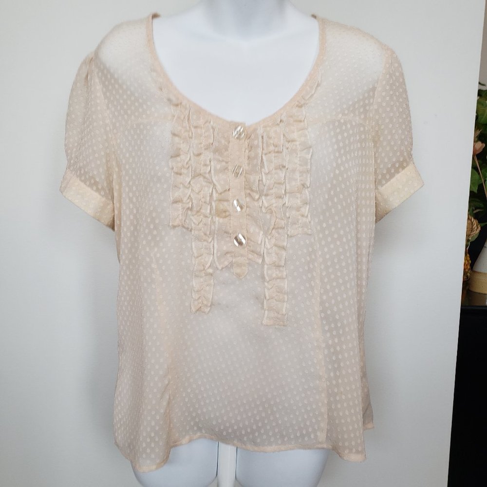 Kimchi Blue sheer short sleeve blouse